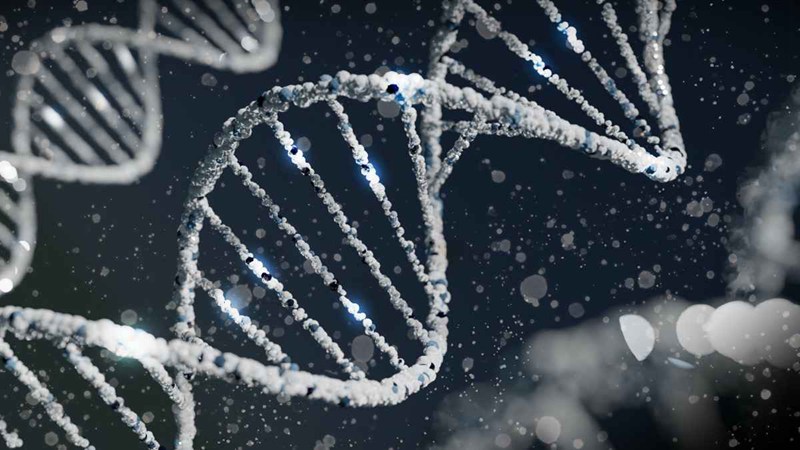 Genetics 1200 X 675