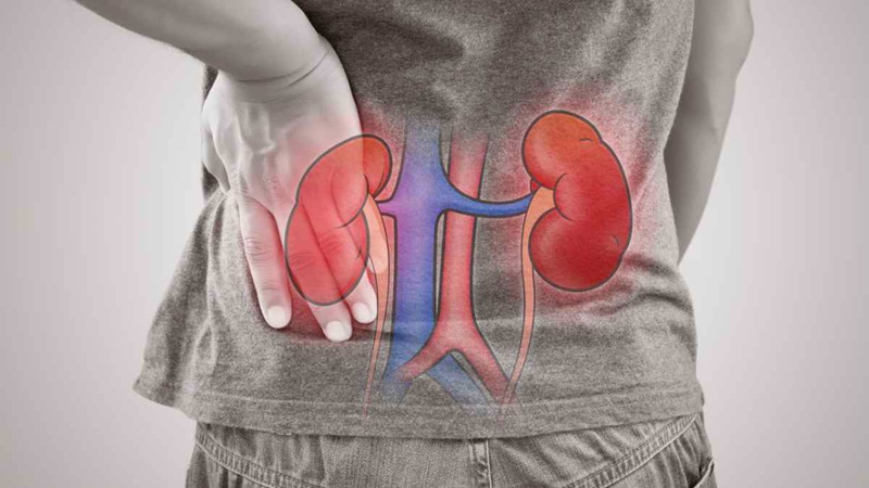 Kidney pain is often mistaken for back pain. Chronic kidney disease symptoms are often nonspecific, but can include nausea, loss of appetite, fatigue/weakness, muscle cramps, and swelling of the feet and ankles.