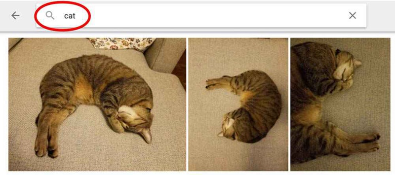 Google Cat Photos and Machine Learning