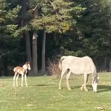 Technical Manager-Mr. Liu